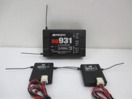 RD931 (2.4G) 